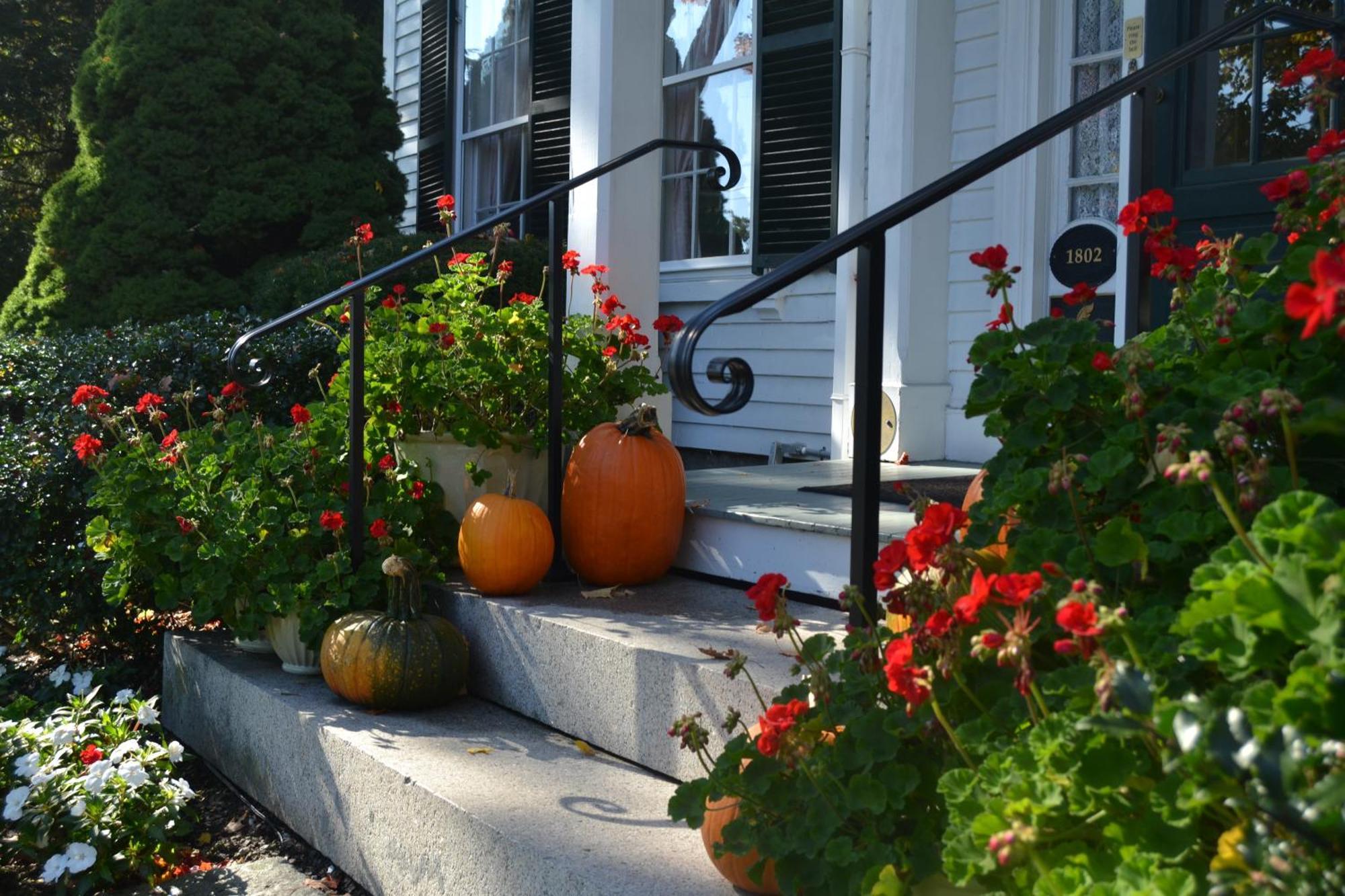 Camden Maine Stay Inn Extérieur photo